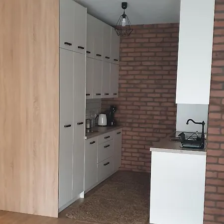 Apartamenty Bartnicza A Bielsko-Biala Exterior foto